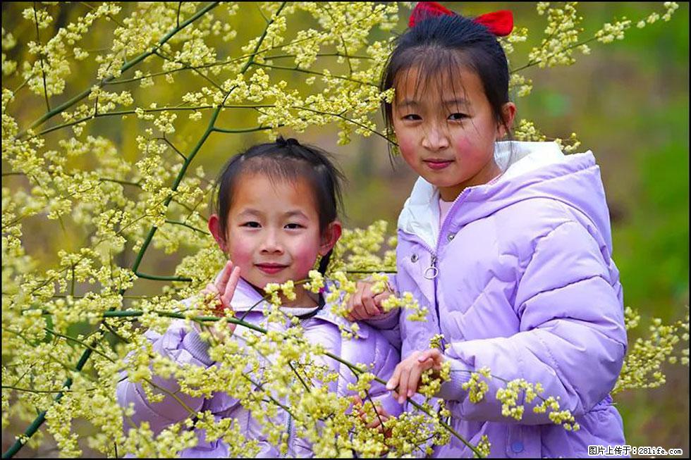【春天,广西桂林灌阳县向您发出邀请!】米珠山前有片山苍子花在飘香 - 游山玩水 - 通辽生活社区 - 通辽28生活网 tongliao.28life.com