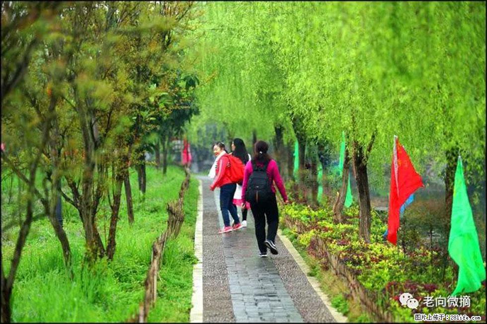 【春天,广西桂林灌阳县向您发出邀请!】江口老街又逢春 - 游山玩水 - 通辽生活社区 - 通辽28生活网 tongliao.28life.com