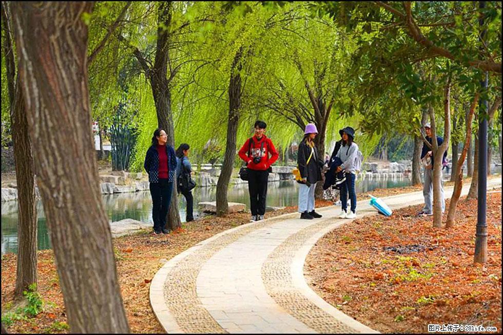 【春天,广西桂林灌阳县向您发出邀请!】江口老街又逢春 - 游山玩水 - 通辽生活社区 - 通辽28生活网 tongliao.28life.com