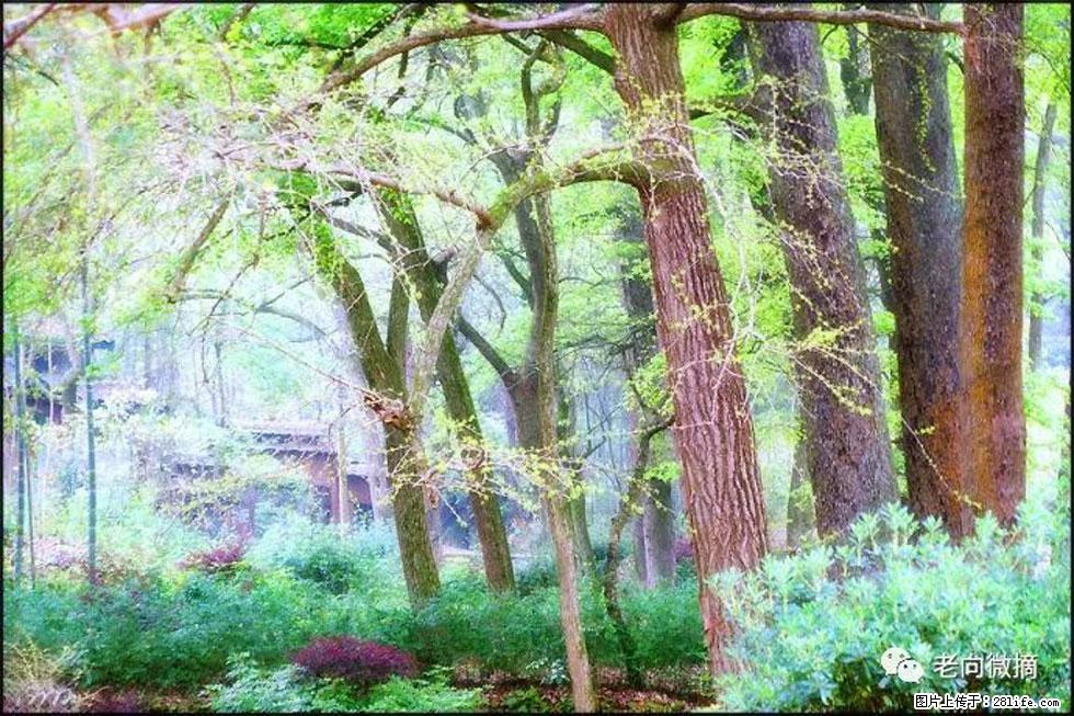 【春天,广西桂林灌阳县向您发出邀请!】在小龙村与春天约会 - 游山玩水 - 通辽生活社区 - 通辽28生活网 tongliao.28life.com