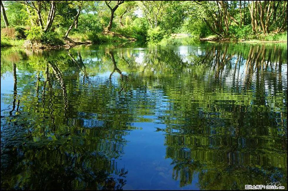 【春天,广西桂林灌阳县向您发出邀请!】熊家寨湿地公园 - 游山玩水 - 通辽生活社区 - 通辽28生活网 tongliao.28life.com