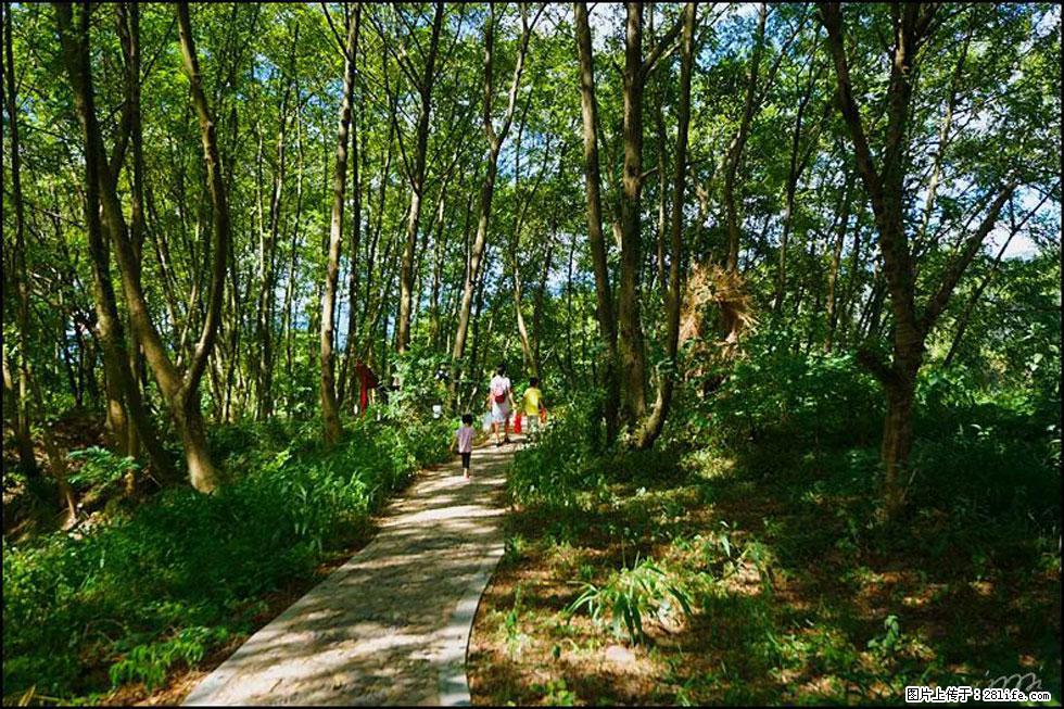 【春天,广西桂林灌阳县向您发出邀请!】熊家寨湿地公园 - 游山玩水 - 通辽生活社区 - 通辽28生活网 tongliao.28life.com