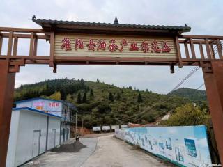 【灌阳县油茶产业示范区】一个有着充实的精神生活的人,对待身外之物自会有一种淡泊的态度 - 通辽28生活网 tongliao.28life.com