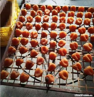 广西桂林平乐桥亭【柿饼之乡】2025年纯手工制作、无任何添加剂的第一批柿饼准备上市了，欢迎联系订购！ - 通辽28生活网 tongliao.28life.com