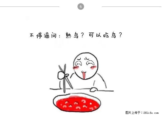 千万不要和这9种哈卵一起吃火锅! - 美食天地 - 通辽生活社区 - 通辽28生活网 tongliao.28life.com