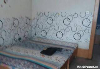 (单间出租)人民公园附近出租单间，阳面主卧实体墙，一楼， - 通辽28生活网 tongliao.28life.com