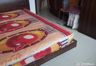 (单间出租)北苑附近 干净整洁 设备齐全 交通便利 无线网 - 通辽28生活网 tongliao.28life.com