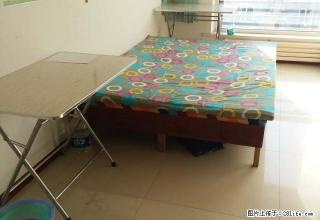 (单间出租)天赐良缘 设备齐全 拎包入住 双人床 免费看房 - 通辽28生活网 tongliao.28life.com