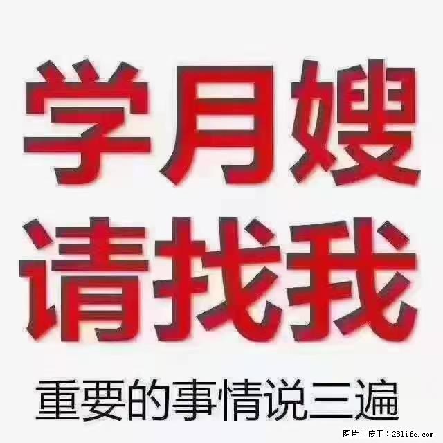 【招聘】月嫂,上海徐汇区 - 职场交流 - 通辽生活社区 - 通辽28生活网 tongliao.28life.com