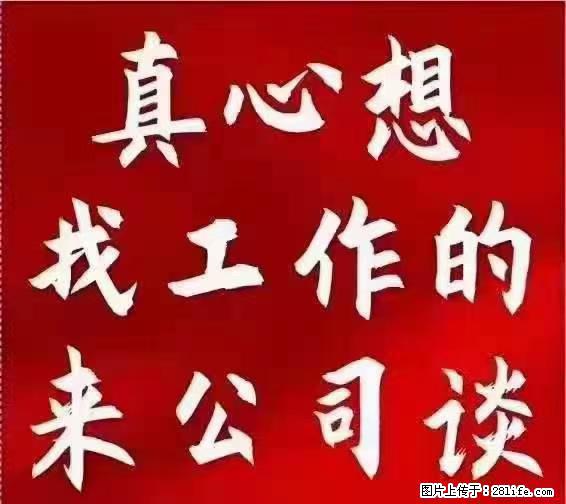 【上海】国企,医院招两名男保安,55岁以下,身高1.7米以上,无犯罪记录不良嗜好 - 职场交流 - 通辽生活社区 - 通辽28生活网 tongliao.28life.com