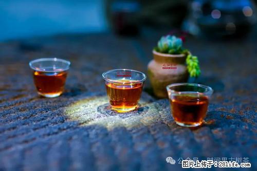 时间果百年古树2025年春红茶 - 购物交流 - 通辽生活社区 - 通辽28生活网 tongliao.28life.com