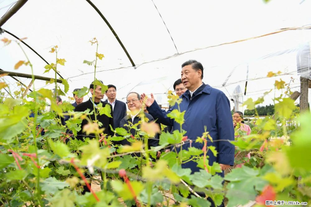 习近平赴广西考察调研 - 通辽生活资讯 - 通辽28生活网 tongliao.28life.com