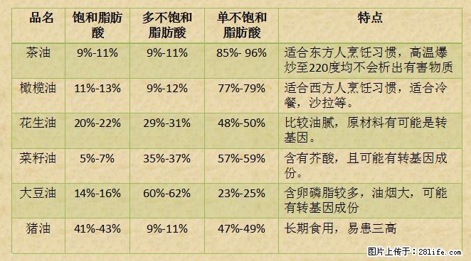 揭秘茶油的5大核心营养成分!被称为人体健康的“守护盾”! - 通辽生活资讯 - 通辽28生活网 tongliao.28life.com