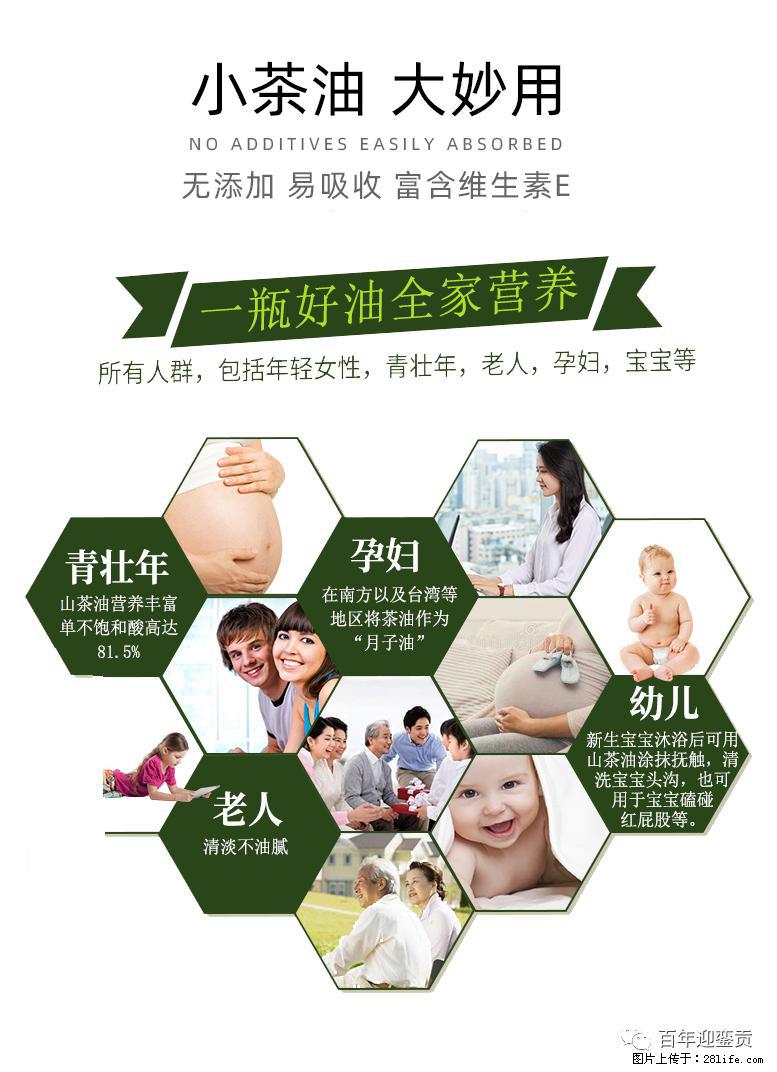 世界没有真相,只有认知,最好的食用油是中国的山茶油! - 通辽生活资讯 - 通辽28生活网 tongliao.28life.com