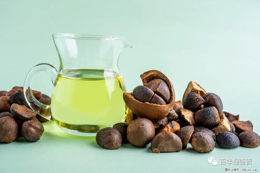 世界没有真相,只有认知,最好的食用油是中国的山茶油! - 通辽生活资讯 - 通辽28生活网 tongliao.28life.com