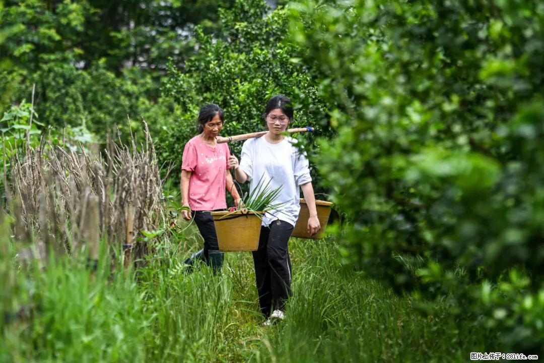 全网追的“扁担女孩”,找了一份暑假工,时薪12元 - 通辽生活资讯 - 通辽28生活网 tongliao.28life.com