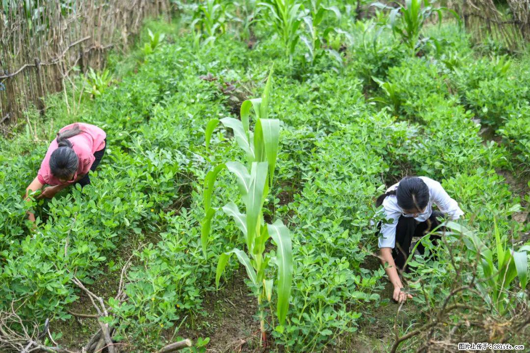 全网追的“扁担女孩”,找了一份暑假工,时薪12元 - 通辽生活资讯 - 通辽28生活网 tongliao.28life.com