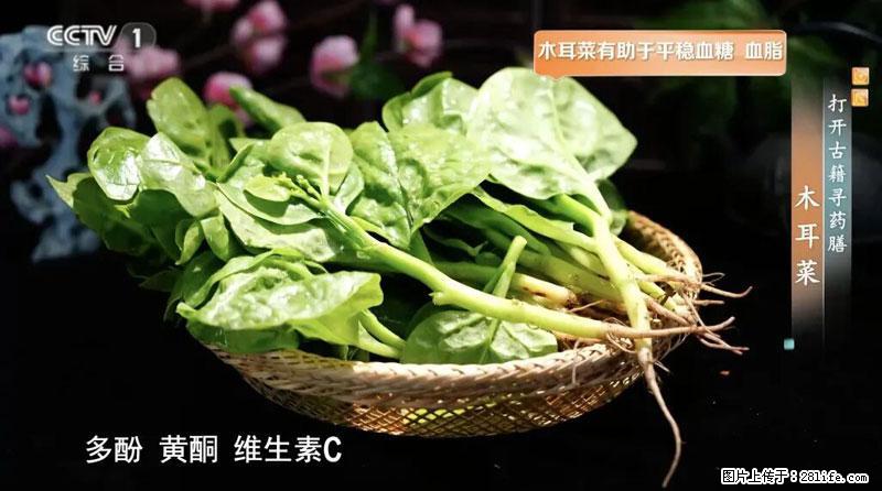 比牛奶补钙还厉害!凉血解毒、稳血糖...这菜冬天必吃,很多人却当草 - 通辽生活资讯 - 通辽28生活网 tongliao.28life.com