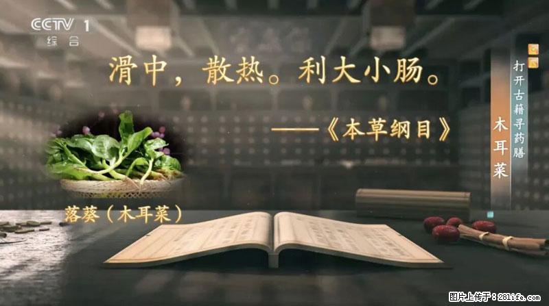 比牛奶补钙还厉害!凉血解毒、稳血糖...这菜冬天必吃,很多人却当草 - 通辽生活资讯 - 通辽28生活网 tongliao.28life.com