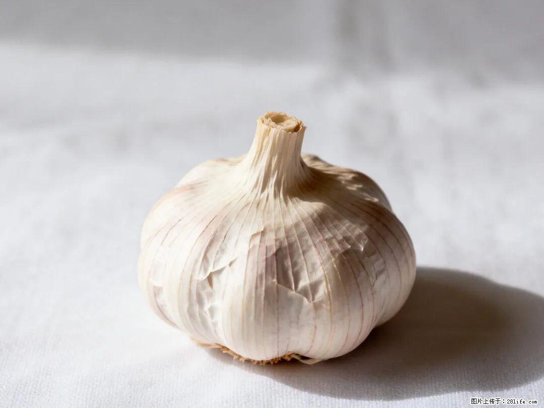 关于大蒜,除了“天然抗生素”,这4个谣言更该警惕! - 通辽生活资讯 - 通辽28生活网 tongliao.28life.com