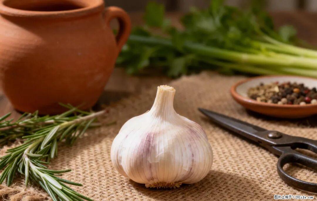 关于大蒜,除了“天然抗生素”,这4个谣言更该警惕! - 通辽生活资讯 - 通辽28生活网 tongliao.28life.com