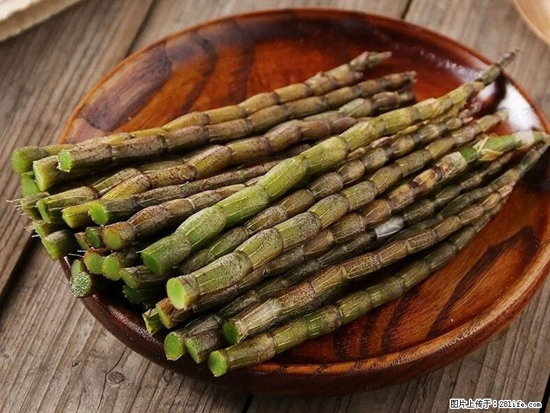 铁皮石斛的作用与功能主治 - 通辽生活资讯 - 通辽28生活网 tongliao.28life.com