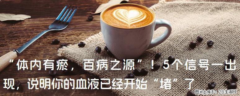 “体内有瘀,百病之源”!5个信号一出现,说明你的血液已经开始“堵”了 - 通辽生活资讯 - 通辽28生活网 tongliao.28life.com